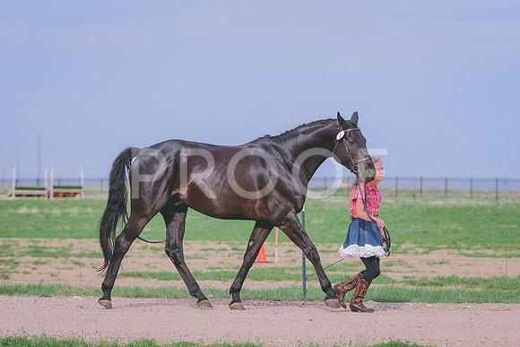 BYR_0734