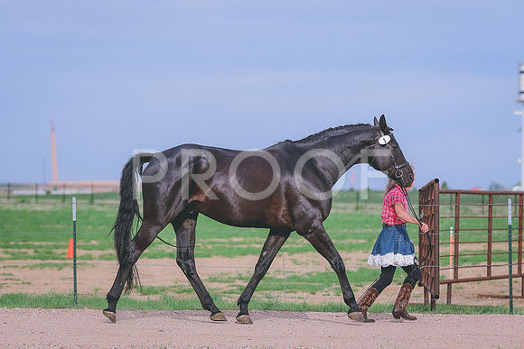 BYR_0770