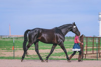 BYR_0771