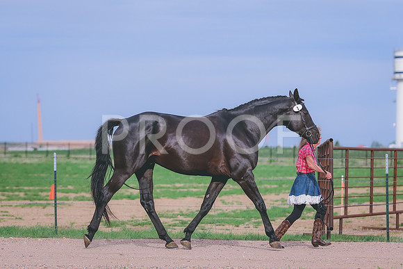 BYR_0771
