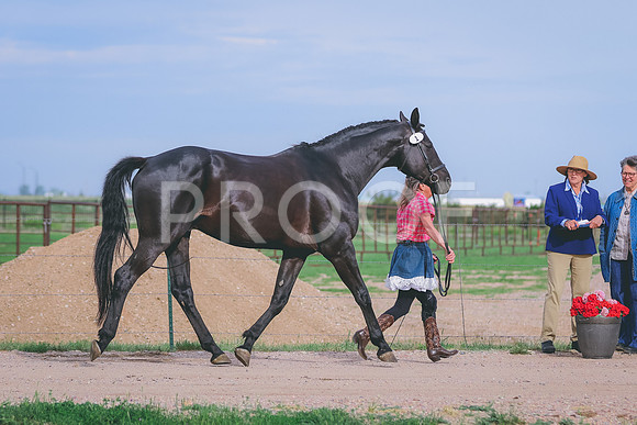 BYR_0798