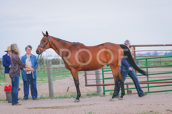 BYR_0078