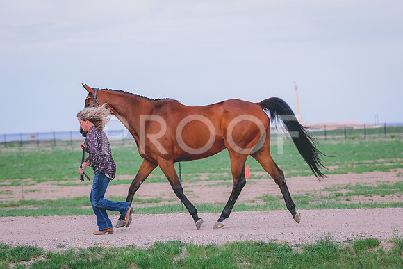 BYR_0119