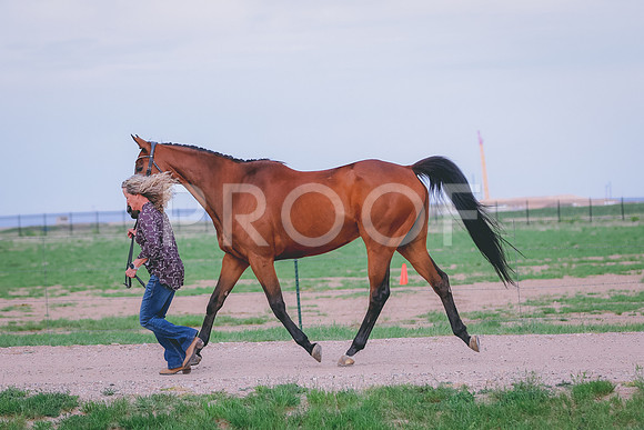 BYR_0120