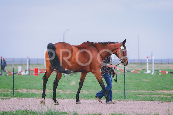 BYR_0171