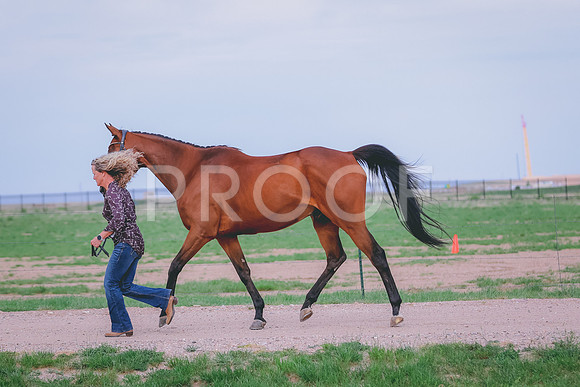 BYR_0131
