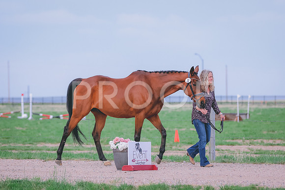 BYR_0188