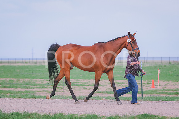 BYR_0230