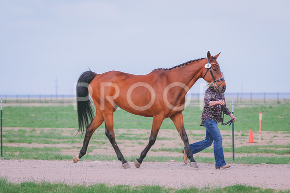 BYR_0229
