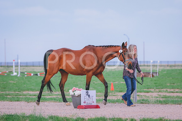 BYR_0189