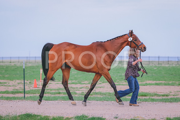 BYR_0242