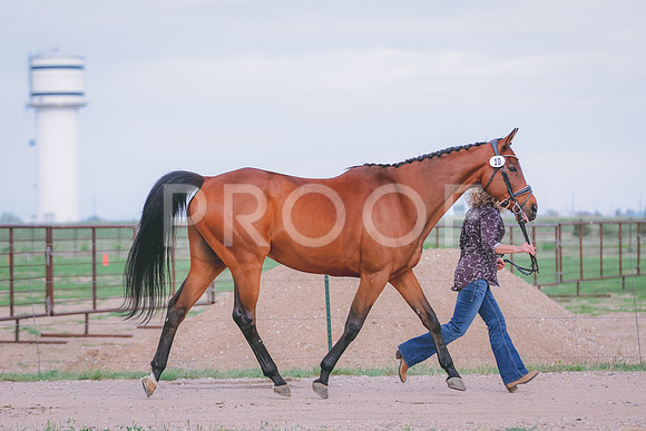 BYR_0288