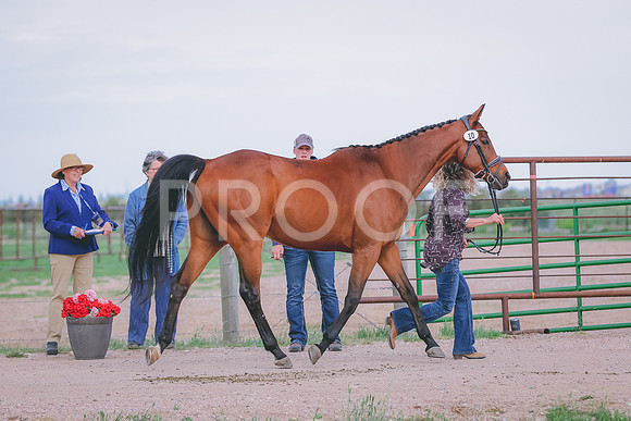 BYR_0305