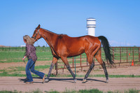 BYR_3260
