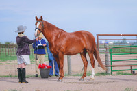 BYR_0843