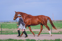 BYR_0912