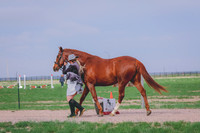 BYR_0946