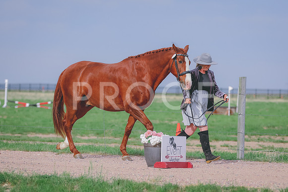 BYR_0964