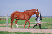 BYR_0965