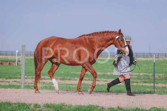 BYR_0965