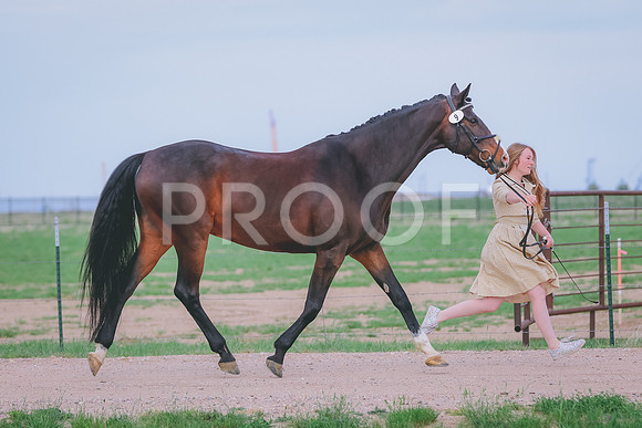 BYR_0032