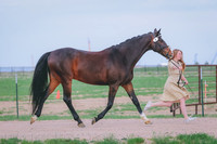 BYR_0033