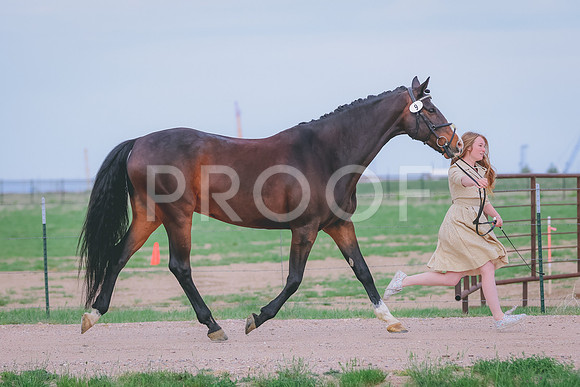 BYR_0033
