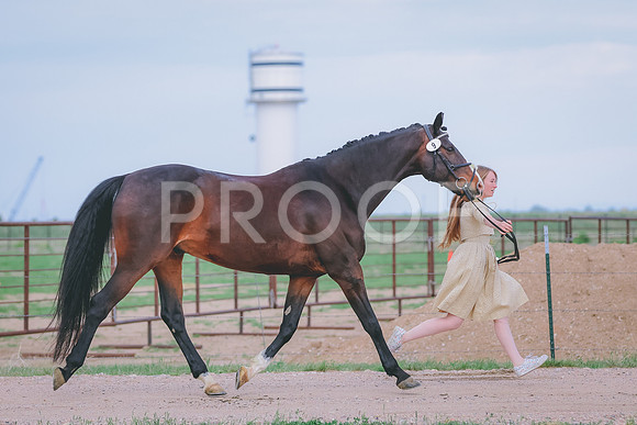 BYR_0052