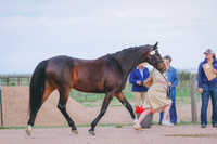 BYR_0062