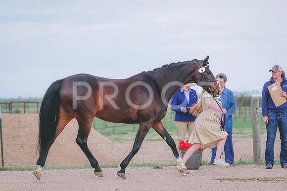 BYR_0062