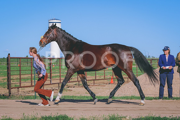 BYR_3065