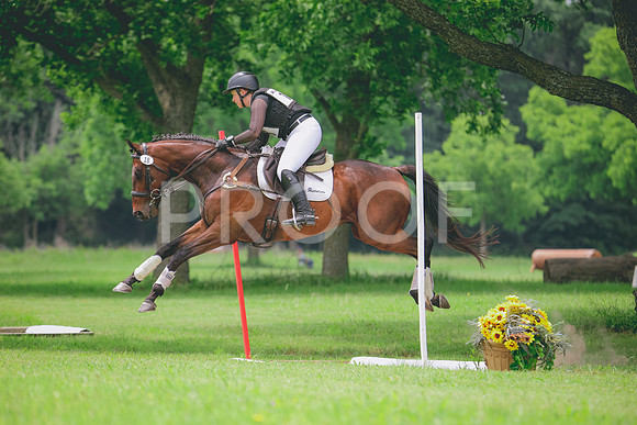 RWP_2054