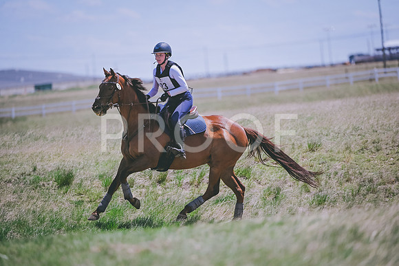 DSC_0791