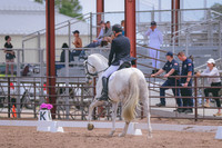 BYR_0641