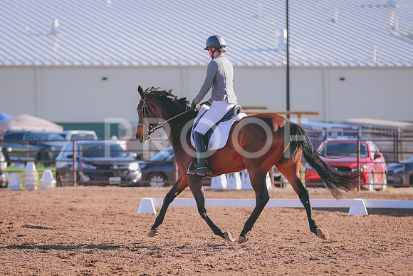 BYR_0196