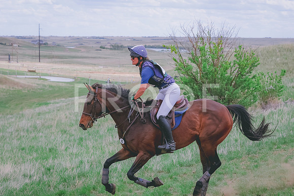 BYR_0264