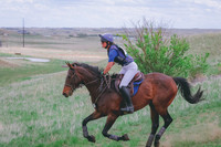 BYR_0263