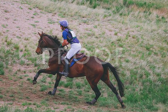 BYR_0267