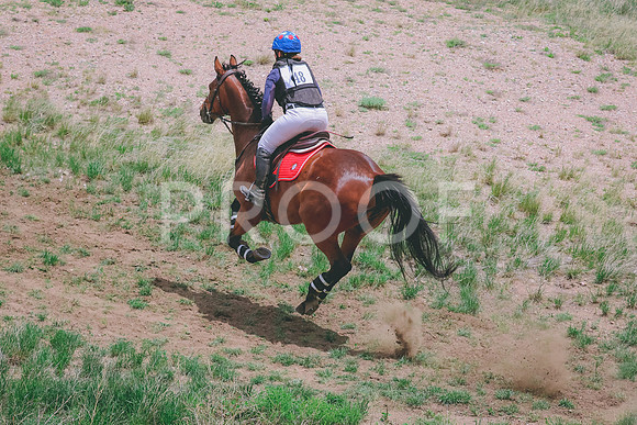 BYR_0390