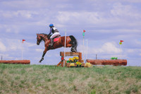 BYR_0411