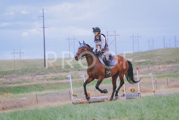 BYR_0441