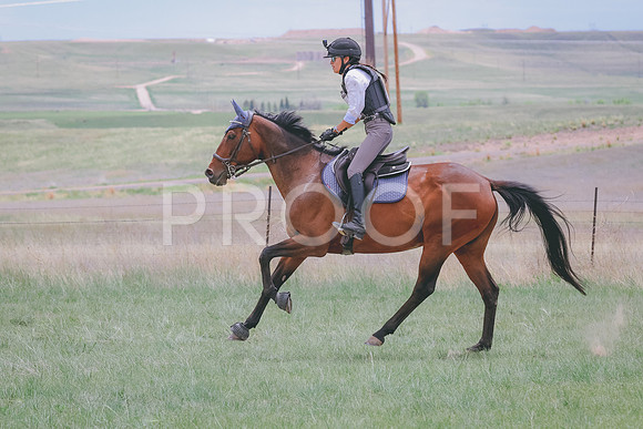 BYR_0468