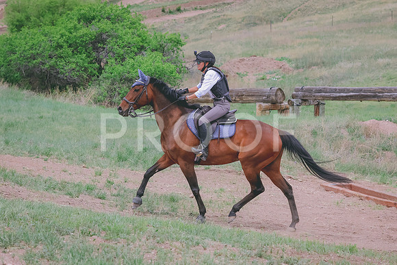 BYR_0556
