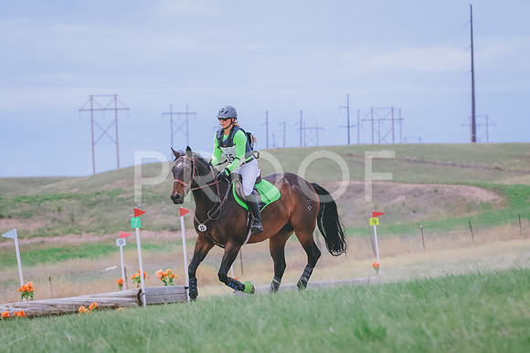 BYR_1533