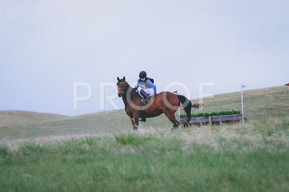 BYR_2361