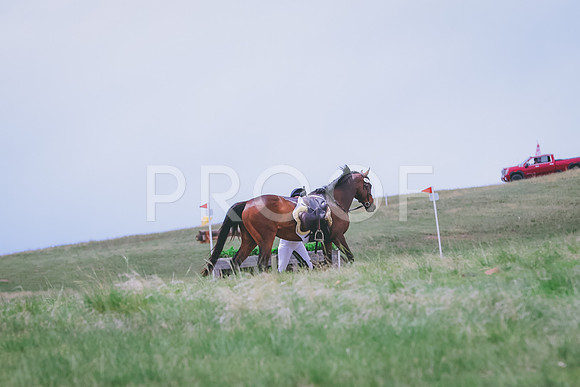BYR_2443