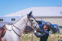 BYR_0446