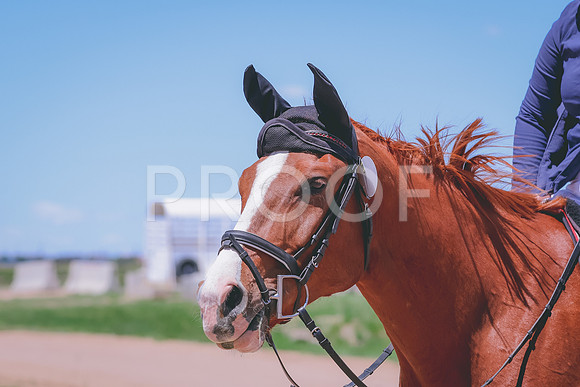 BYR_0631