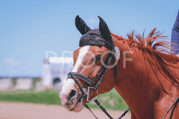 BYR_0637