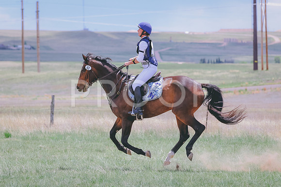 BYR_3068 copy